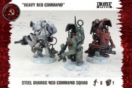 ssu steel guard nco command squad